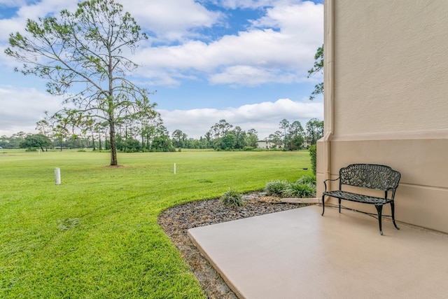 view of yard with a patio