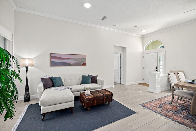 living room featuring crown molding and a textured ceiling