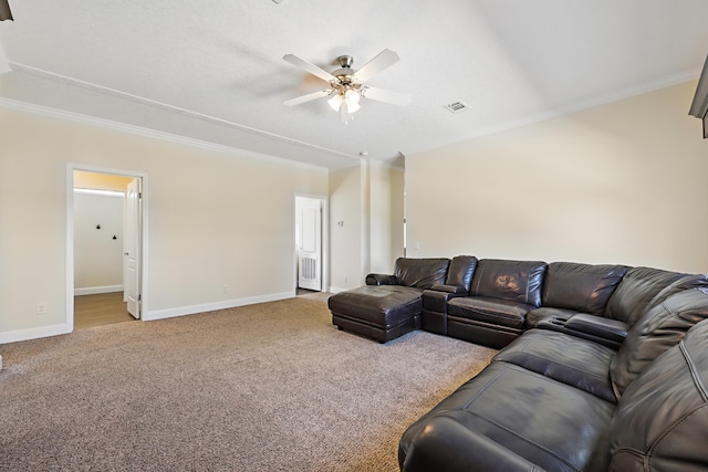 4984 Canal Rd, Elkton, FL 32033 - photo 30