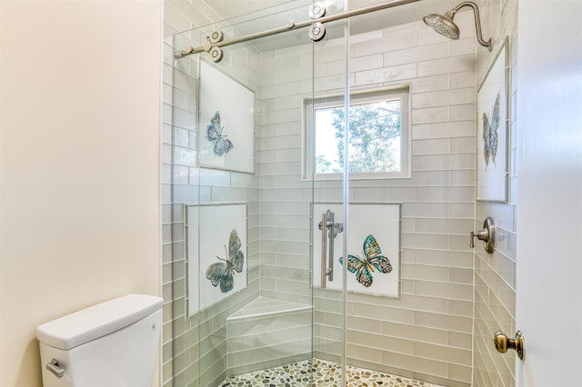 bathroom with toilet and a stall shower