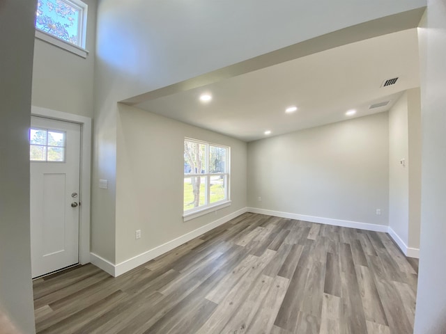 foyer with plenty of natural light and light wood-type flooring