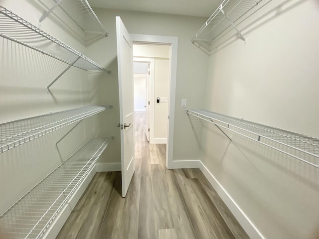 walk in closet featuring hardwood / wood-style flooring