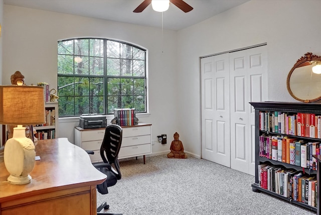 home office with ceiling fan and carpet floors