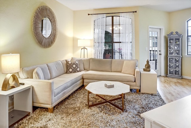 living room featuring wood-type flooring