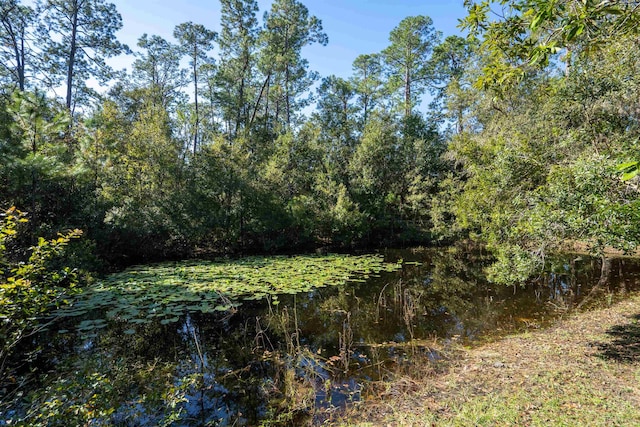 view of local wilderness