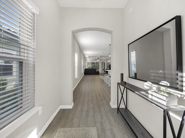55 Concave Ln, Saint Augustine, FL 32095 - corridor with arched walkways, wood finished floors, and baseboards