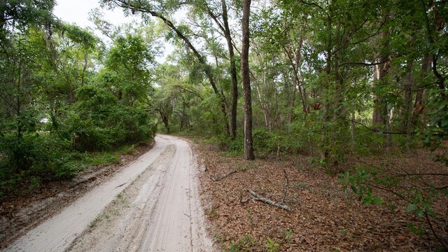 114 Peeples Rd, Pomona Park, FL 32181 - photo 9