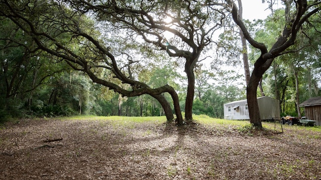 114 Peeples Rd, Pomona Park, FL 32181 - photo 7