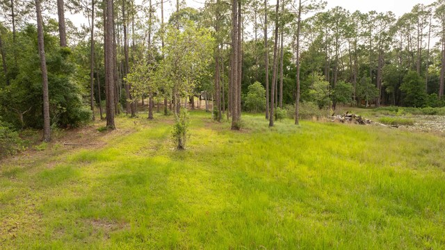 114 Peeples Rd, Pomona Park, FL 32181 - photo 8