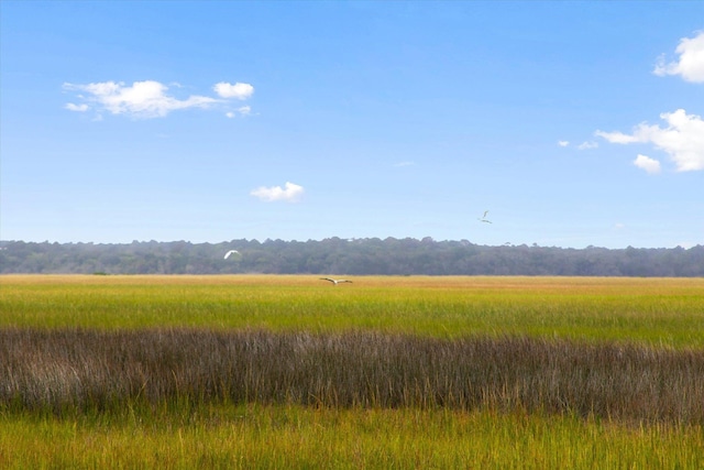 view of local wilderness featuring a rural view