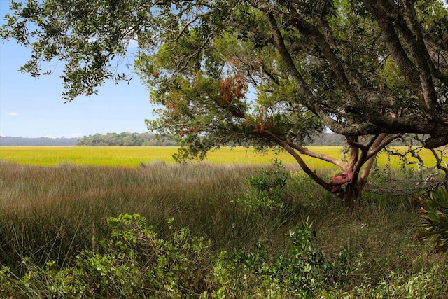 view of landscape featuring a rural view