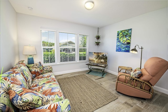 living room featuring hardwood / wood-style floors