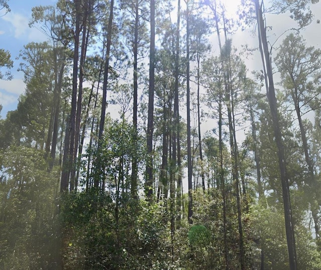 127 1st St, Georgetown FL, 32139 land for sale