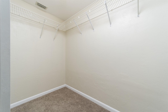 spacious closet featuring carpet flooring