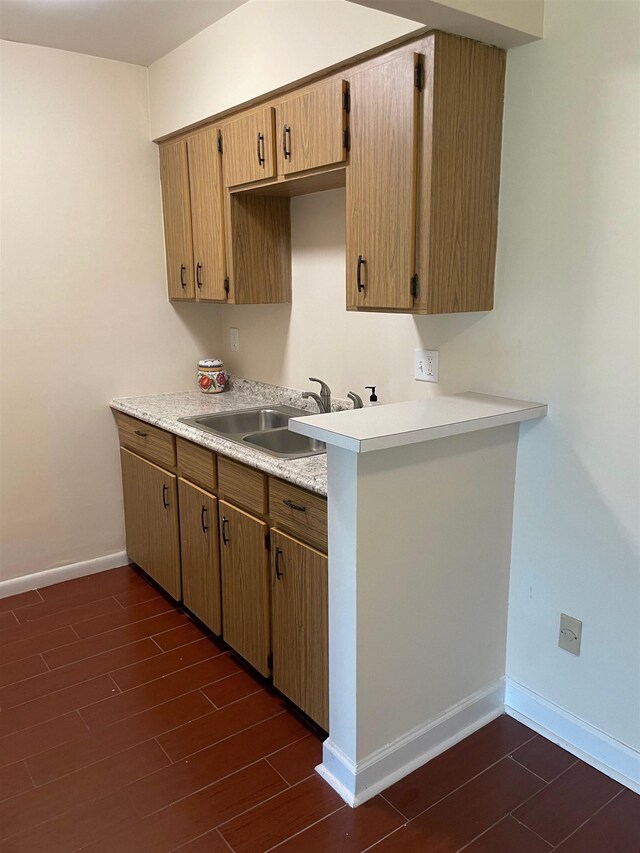 kitchen with dark hardwood / wood-style flooring and sink