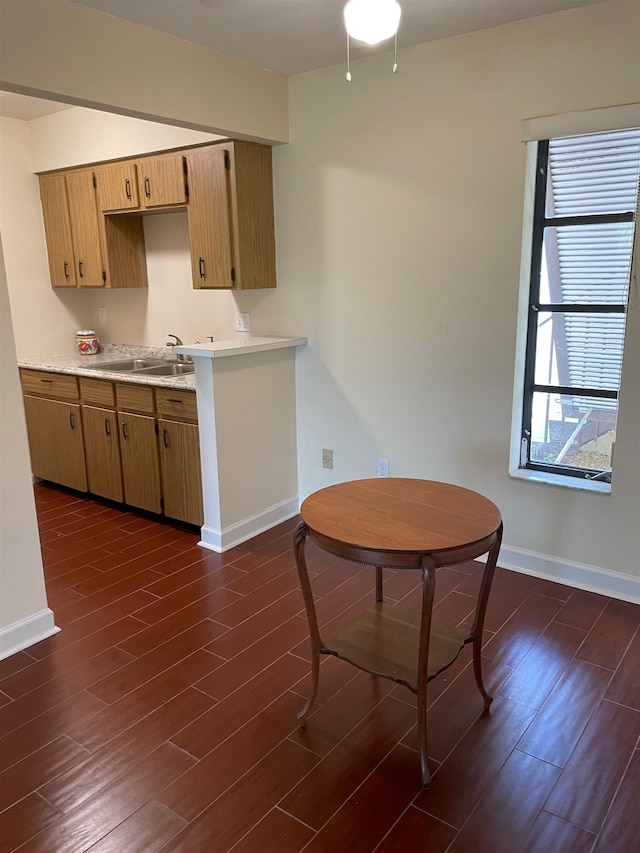 kitchen featuring sink and dark wood-type flooring