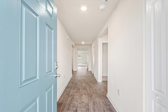 hall featuring wood-type flooring