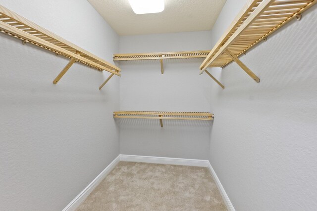 175 Laterra Links Cir Unit 101, Saint Augustine, FL 32092 - walk in closet featuring carpet floors