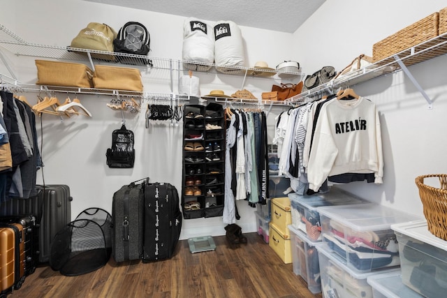 walk in closet with wood finished floors