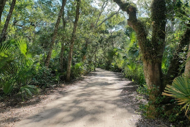 view of road