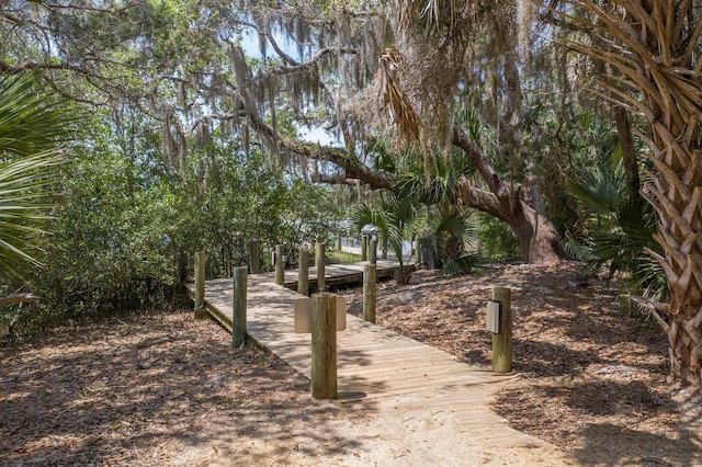 view of home's community with a boat dock