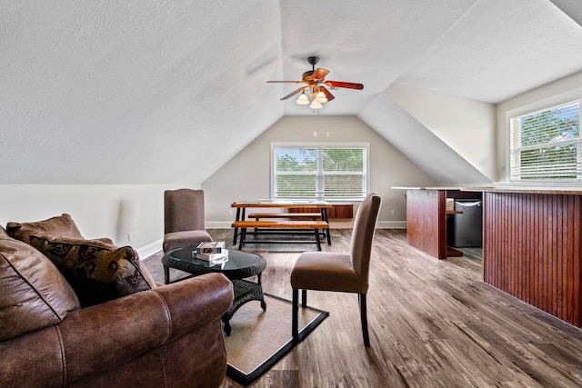 821 Kalli Creek Ln, Saint Augustine, FL 32080 - living room with wood finished floors, a ceiling fan, healthy amount of natural light, vaulted ceiling, and a textured ceiling
