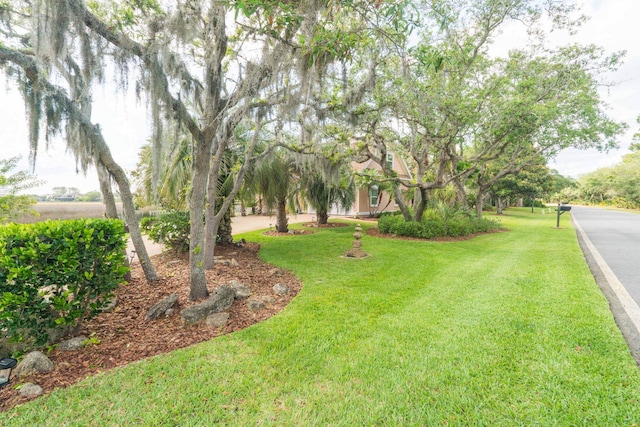 821 Kalli Creek Ln, Saint Augustine, FL 32080 - view of green lawn