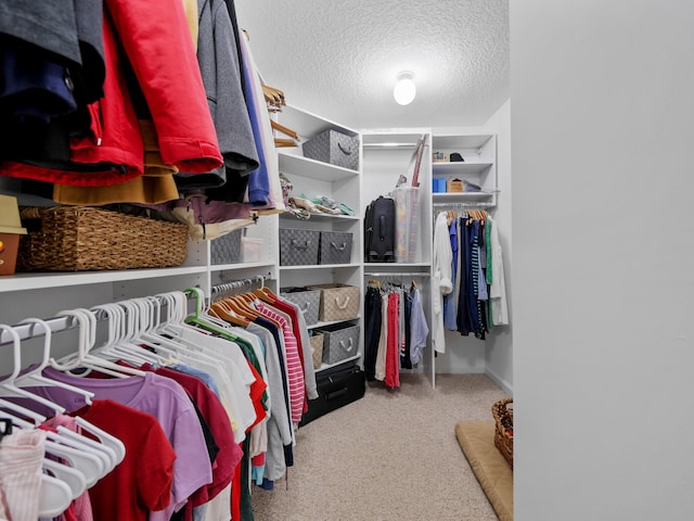 view of spacious closet