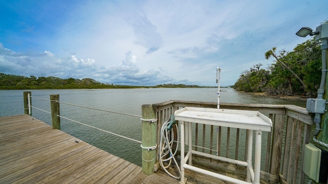 dock area with a water view