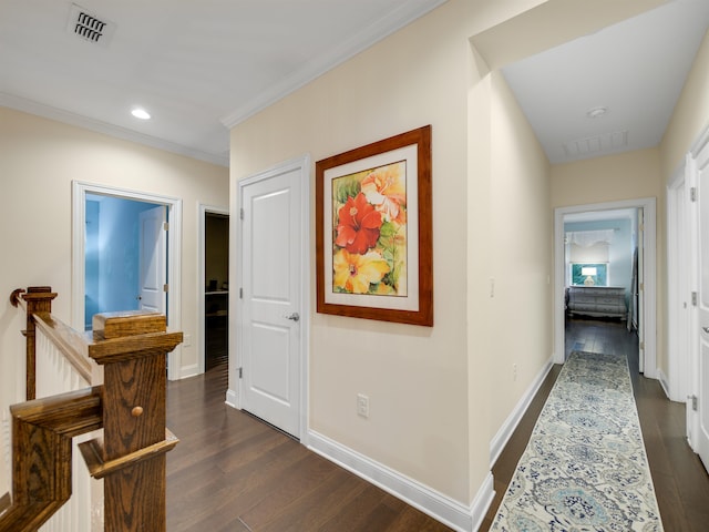 129 Historic Brick Ln, Saint Augustine, FL 32095 - photo 15