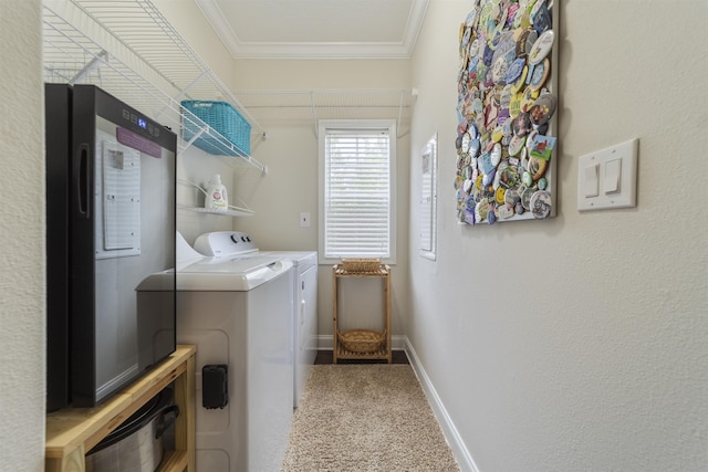 clothes washing area with light carpet, washer and dryer, and ornamental molding