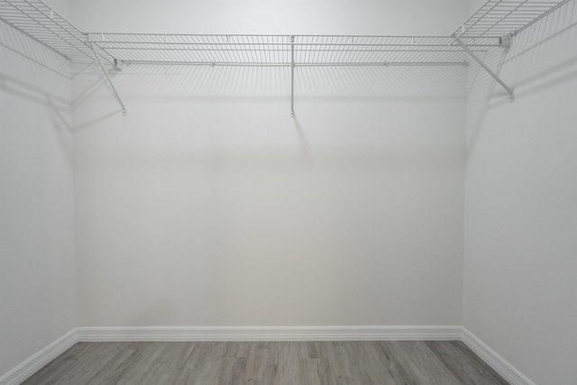 spacious closet featuring hardwood / wood-style flooring