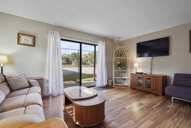 living room featuring hardwood / wood-style flooring and a textured ceiling