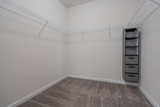 638 Honeycomb Trl, Saint Augustine, FL 32095 - walk in closet with carpet