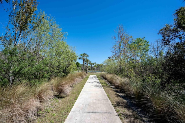 638 Honeycomb Trl, Saint Augustine, FL 32095 - view of community