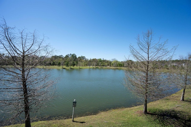 638 Honeycomb Trl, Saint Augustine, FL 32095 - view of water feature