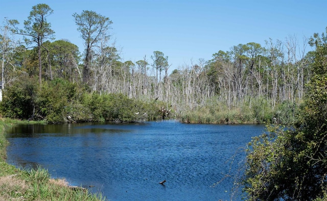 638 Honeycomb Trl, Saint Augustine, FL 32095 - view of water feature with a forest view