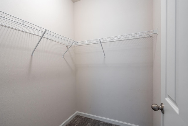 638 Honeycomb Trl, Saint Augustine, FL 32095 - spacious closet with dark carpet