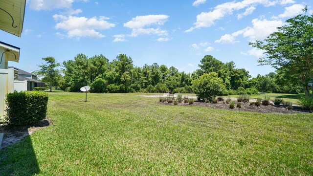 18 Amistad Dr Unit 18, Saint Augustine, FL 32086 - photo 29