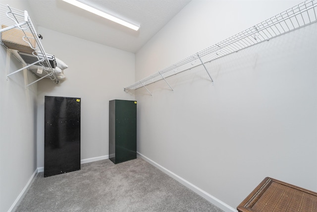 spacious closet featuring carpet