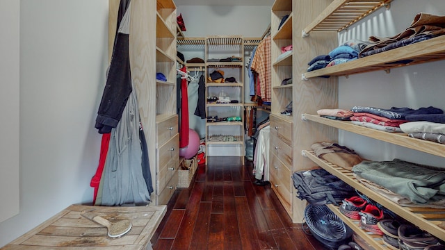 spacious closet with dark wood-type flooring