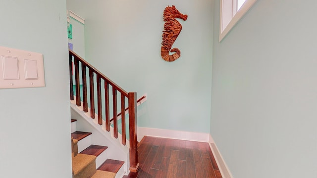 staircase with hardwood / wood-style floors