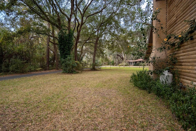 5850 Capo Island Rd, Saint Augustine, FL 32095 - view of grassy yard