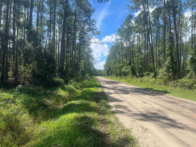 10680 Delgado Ave, Hastings, FL 32145