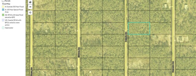 10680 Delgado Ave, Hastings, FL 32145