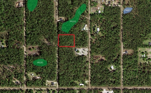 10680 Delgado Ave, Hastings, FL 32145