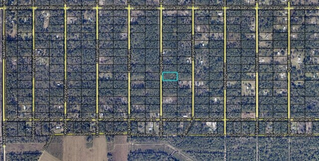 10680 Delgado Ave, Hastings, FL 32145