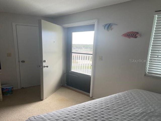 bedroom with light colored carpet