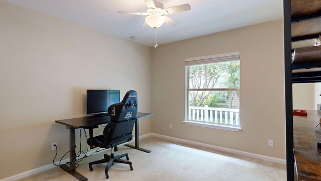256 N Hidden Tree Dr, Saint Augustine, FL 32086 - office space with ceiling fan, baseboards, and carpet