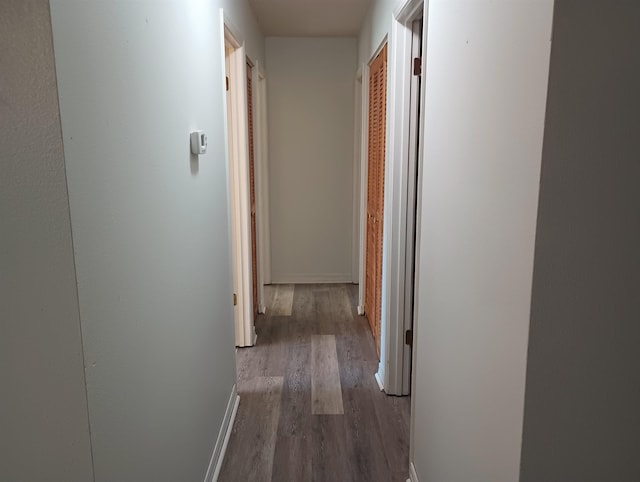 304 Las Olas Rd, Saint Augustine, FL 32084 - hallway with wood finished floors and baseboards